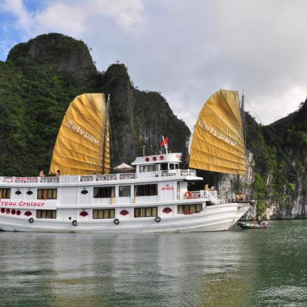 Viet Orchid Travel - Calypso Cruise Halong Bay